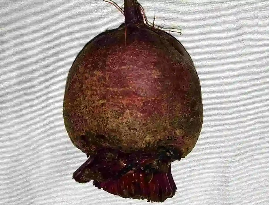 Health benefits of Beet