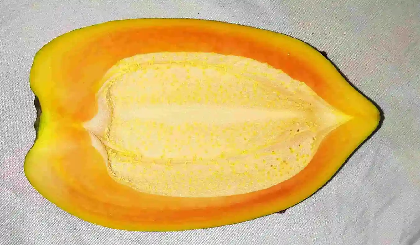 Health benefits of papaya